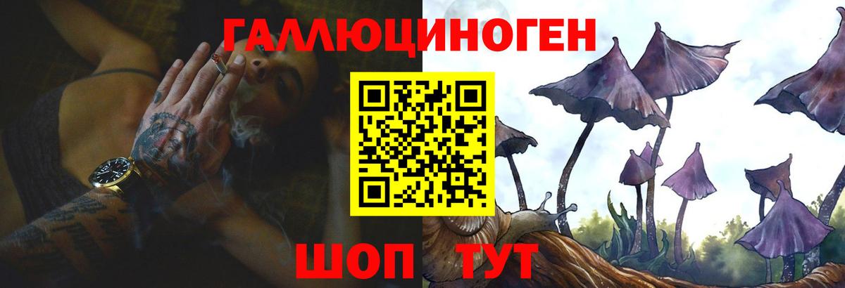 Бошки Шишки Краснокаменск